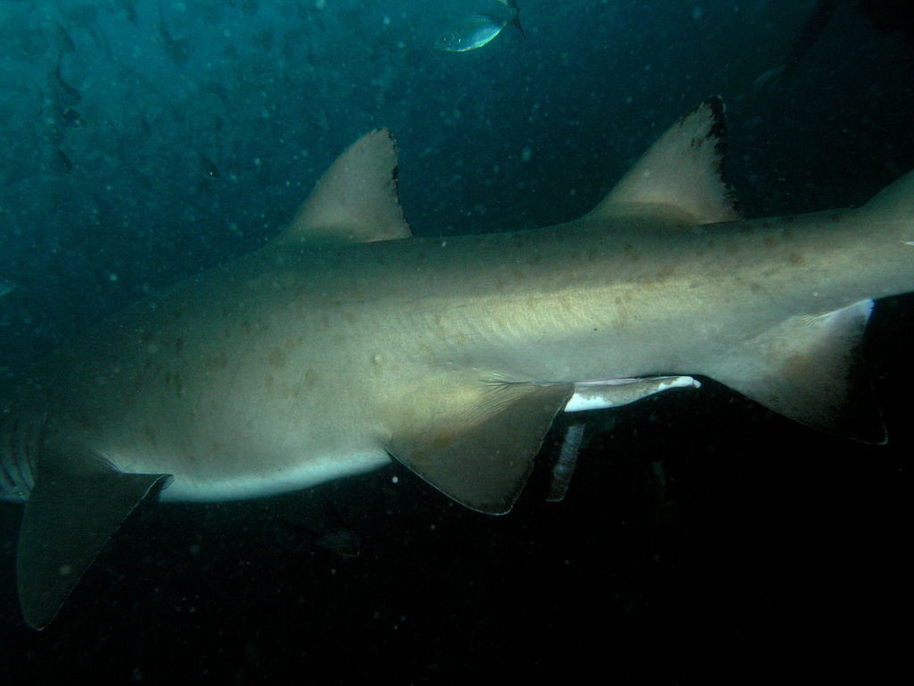 a25ba09a-0970-4148-b735-dc8c8ee31881