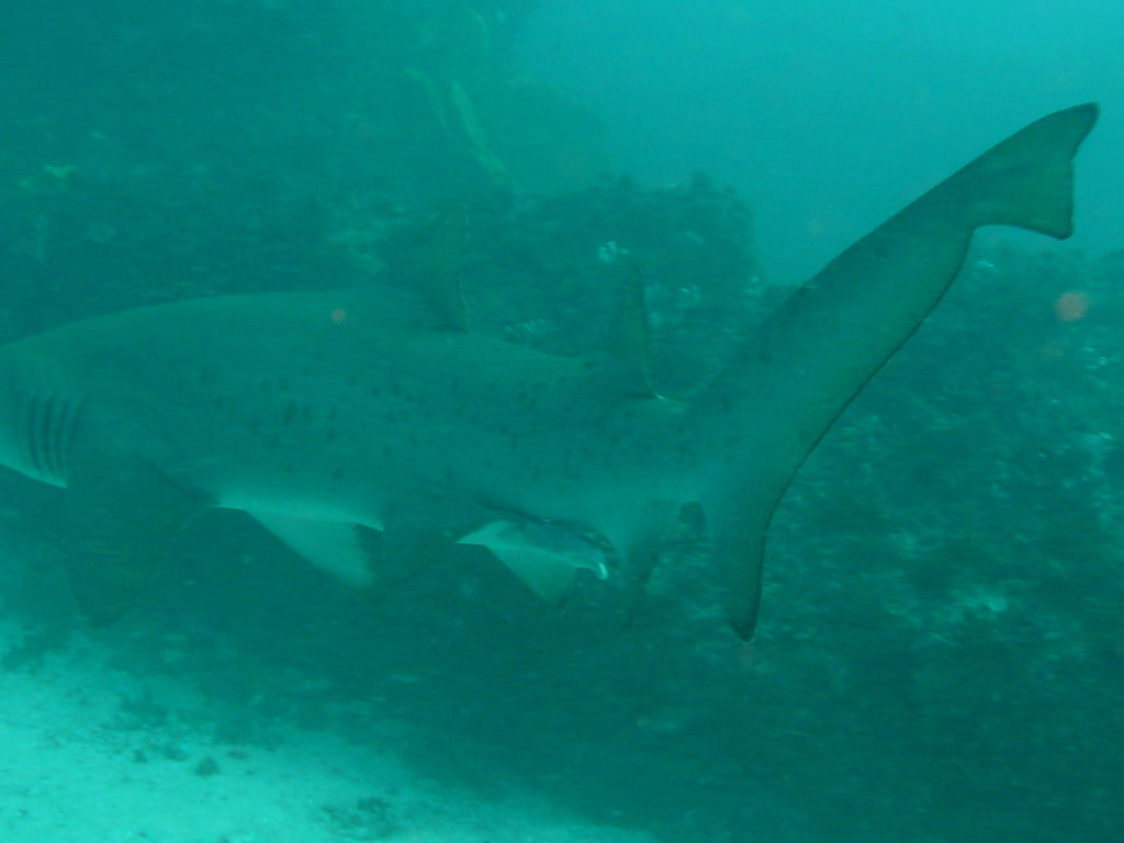 fd292b20-8a80-40cc-8cd0-96dec4fa5e94