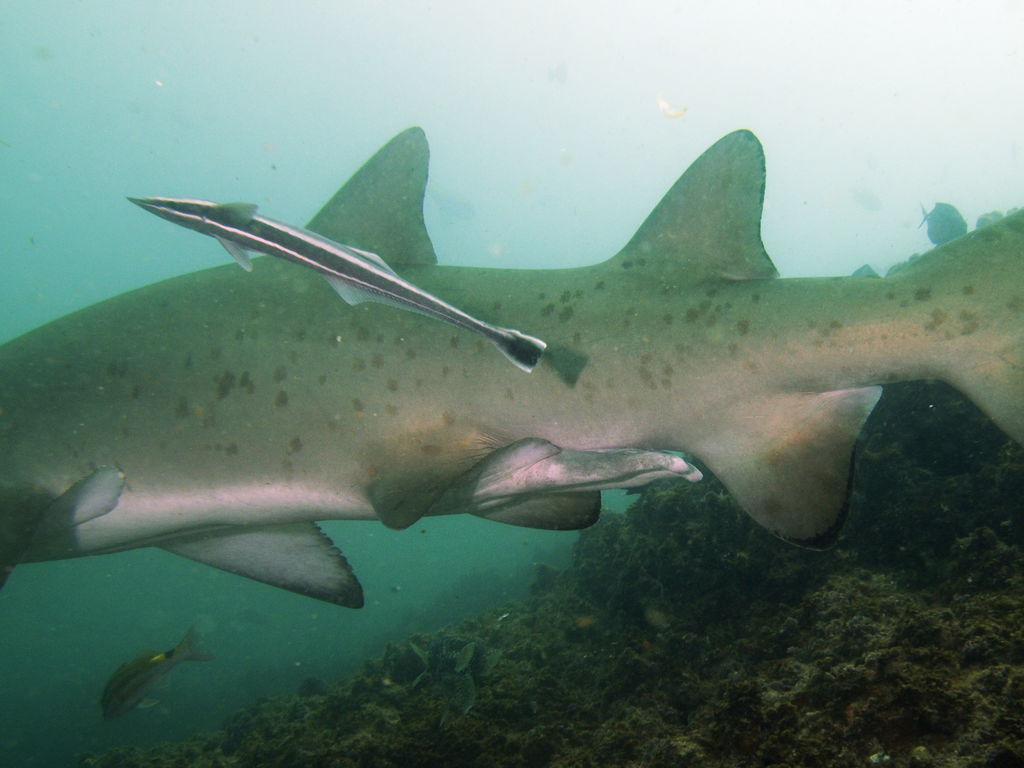 fd292b20-8a80-40cc-8cd0-96dec4fa5e94