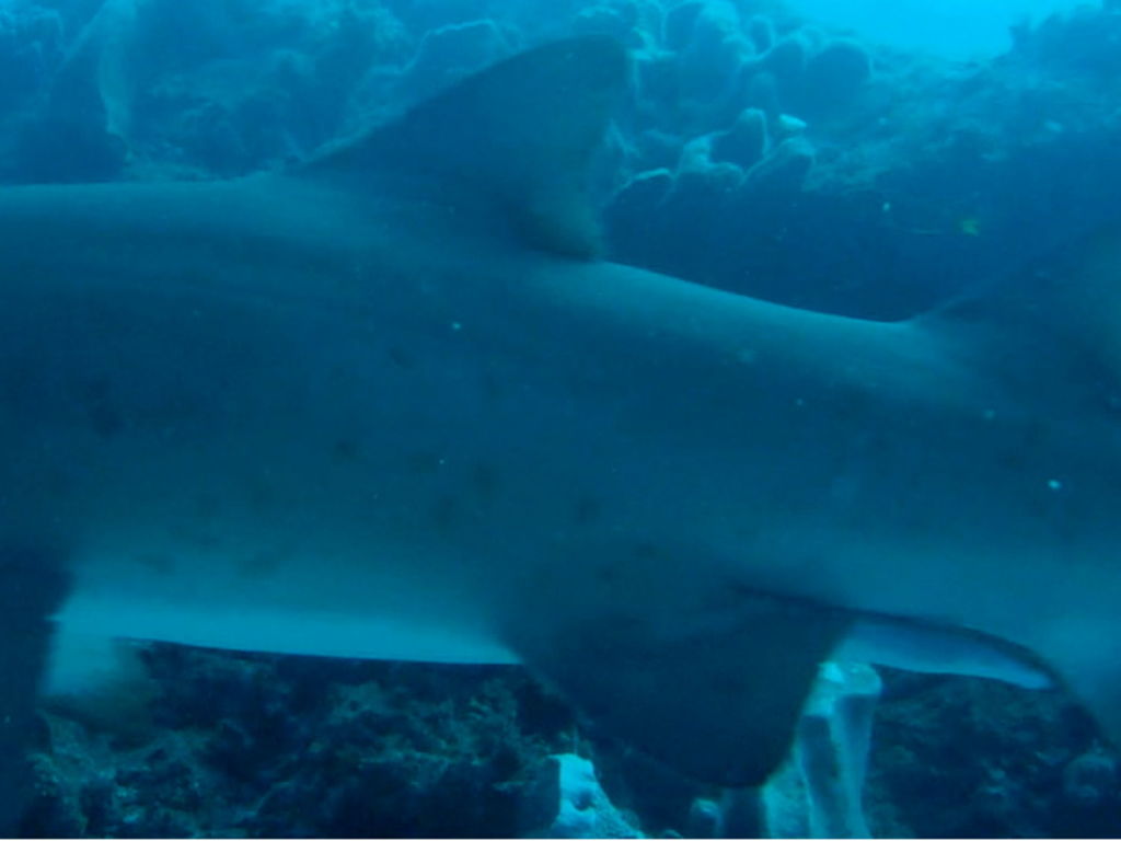 097b91d3-adde-4123-889f-47e23ce66d12