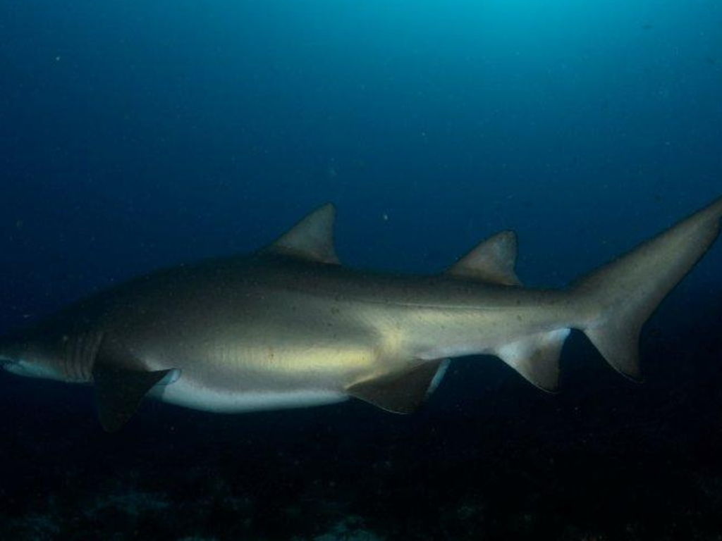 d925dc75-4f4d-4ea7-b771-d08a37e4399f