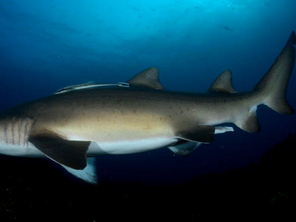 a8c1e33e-2905-40dd-a904-96532d587dad