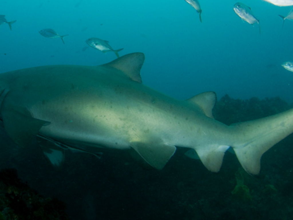 1618e8af-05fb-4dad-9008-bdc778d67ddf