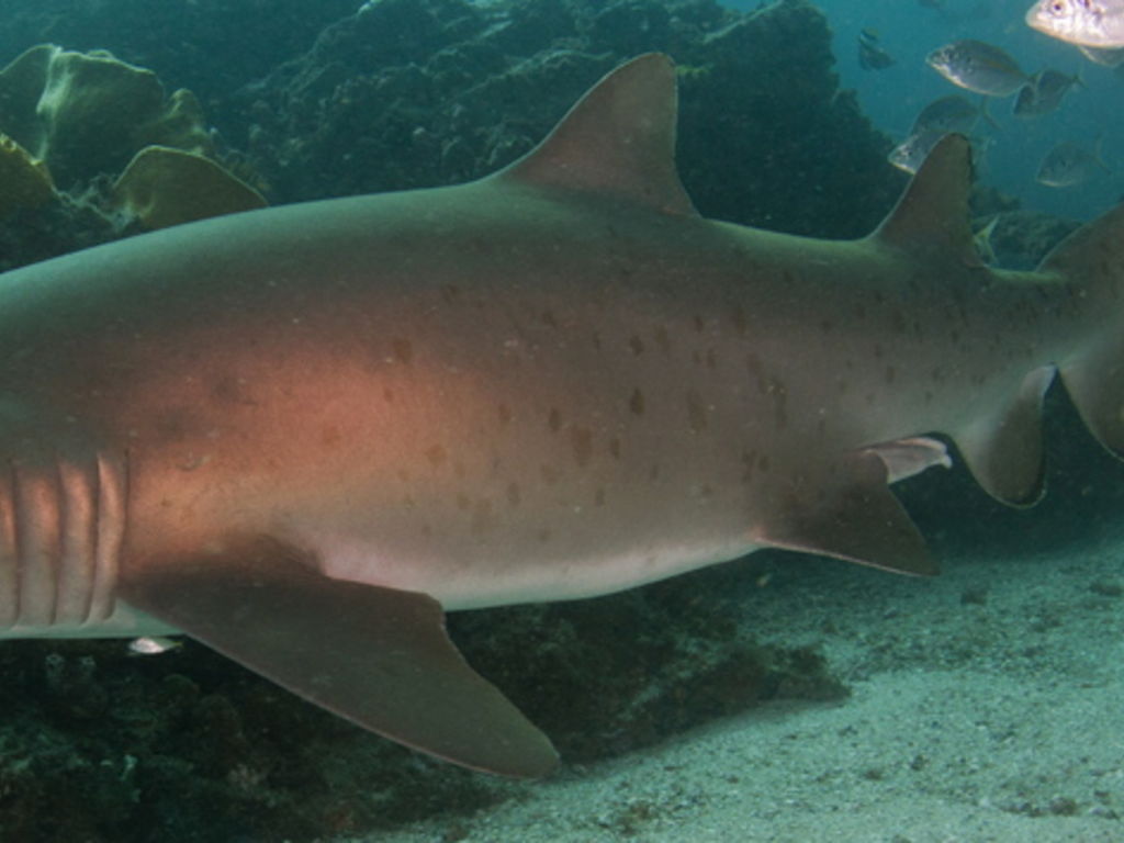 751ebadb-0ab8-45ad-907c-bf47c3cb49f8