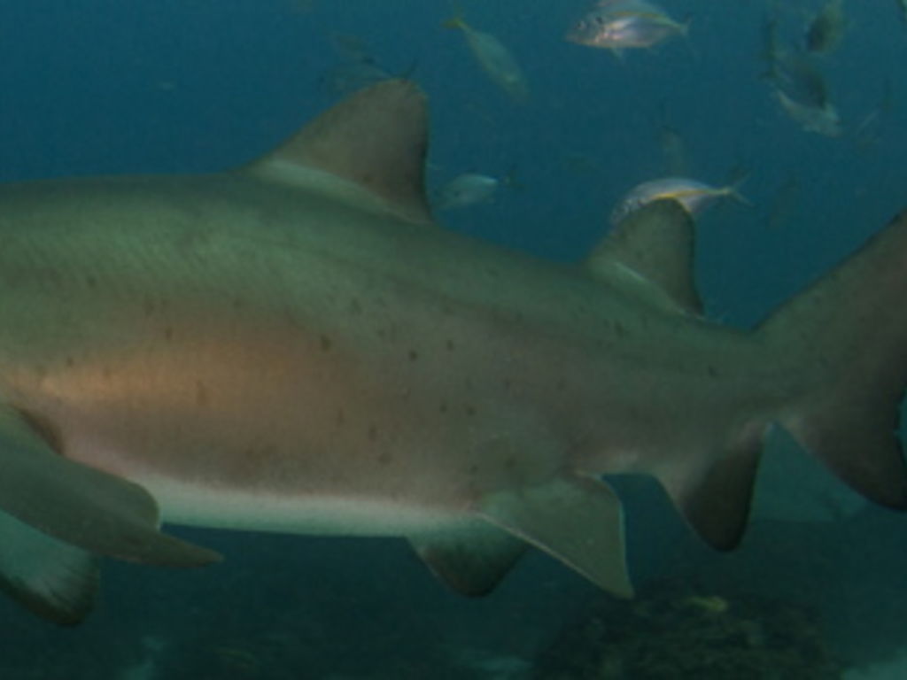 9c0c4f11-5cc0-489b-a230-1bfee5603016