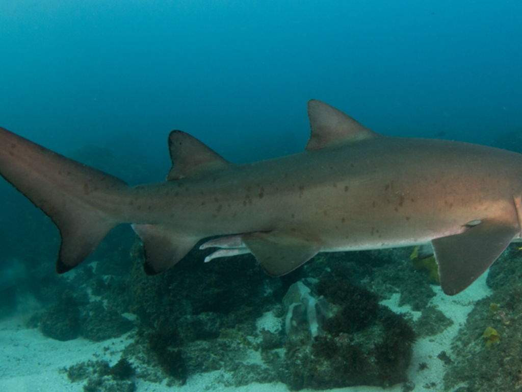 acb17252-fc60-4379-8866-4300fc4fe74b