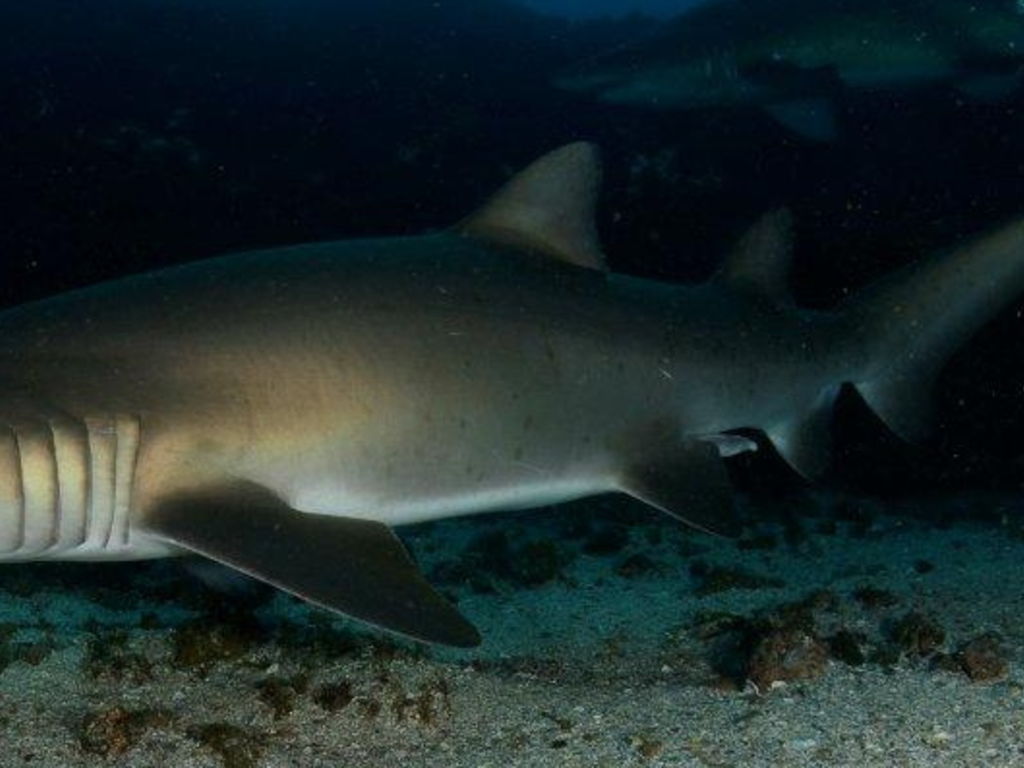 fb72d0c9-f6a6-4b10-b14d-b7af1a7c6655