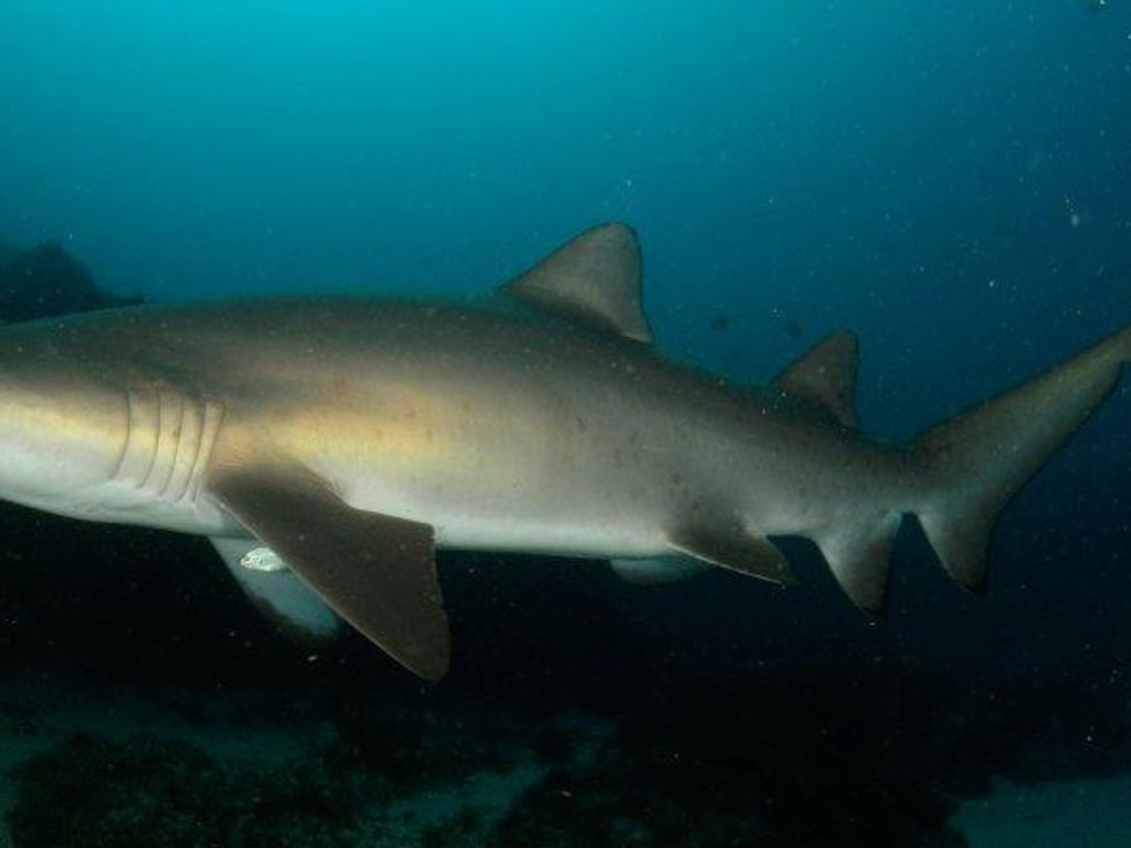 555285dd-1215-41ac-b491-730d573e2f4d