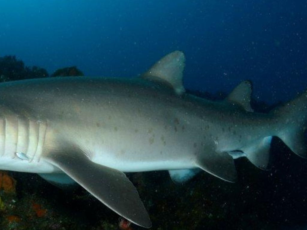 6d853795-858d-4703-98f7-9cef0f2b75cd