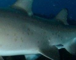 6d853795-858d-4703-98f7-9cef0f2b75cd