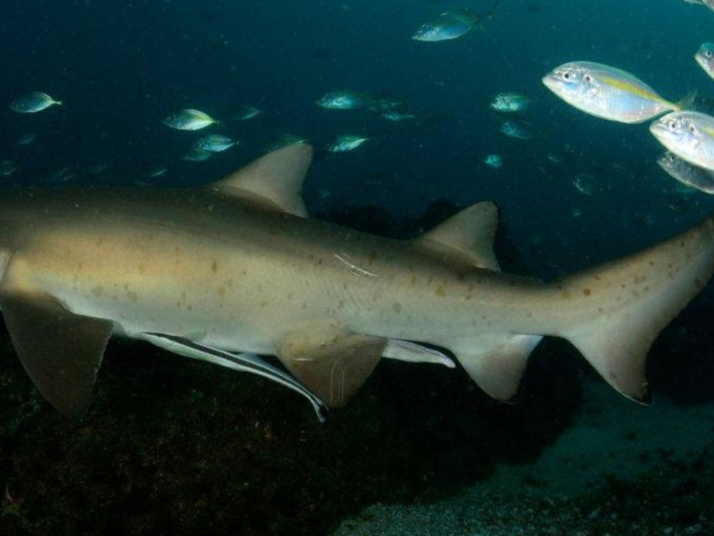 285554dc-4086-4dd0-b2dd-8a05cabf9885