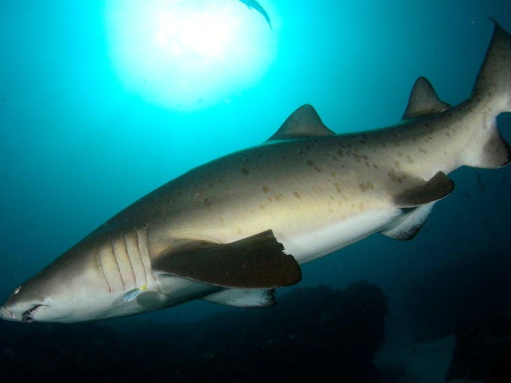 d5005d94-1457-4b69-b59a-26e685e14ca7