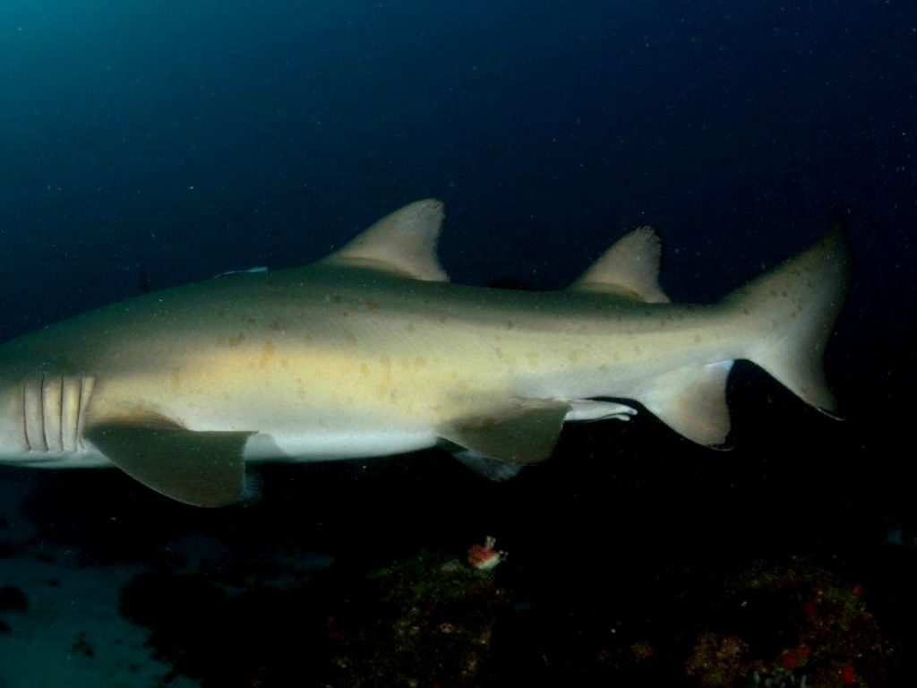 bd5c746c-3299-4ee9-b681-4591f8db4a12