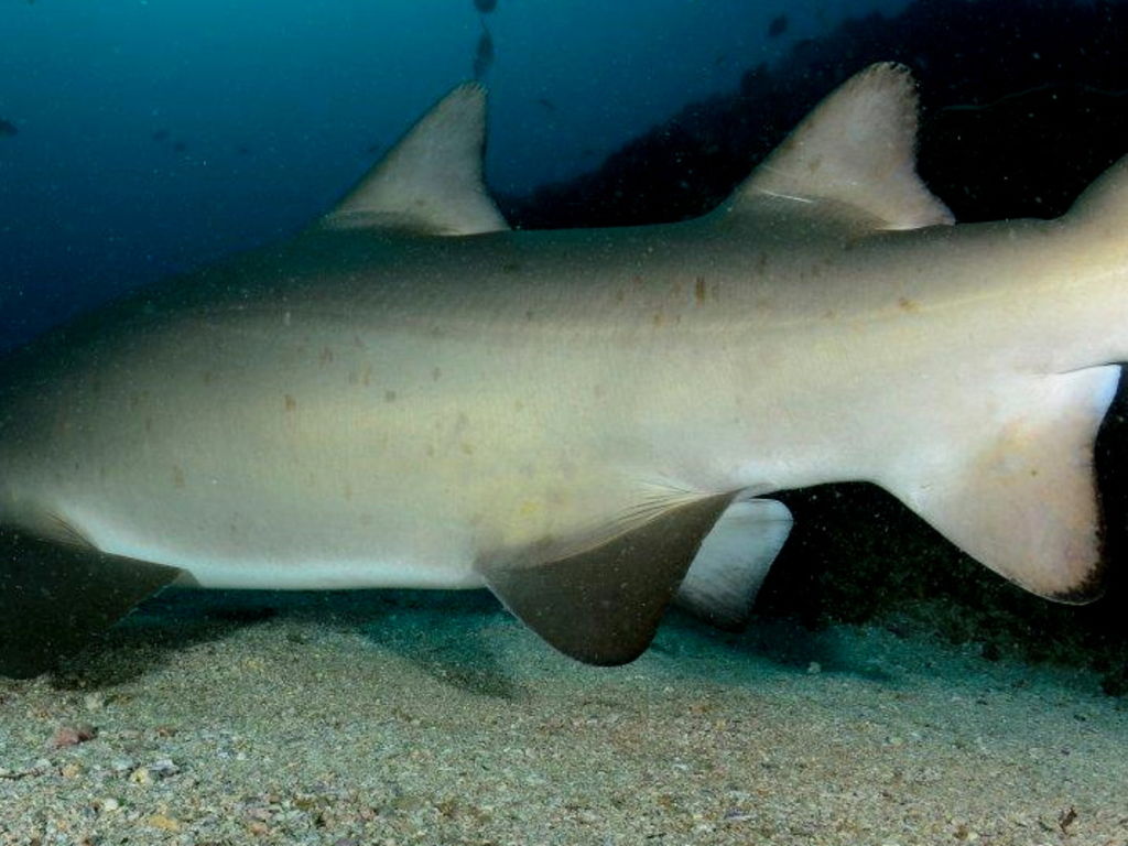 9c0c4f11-5cc0-489b-a230-1bfee5603016