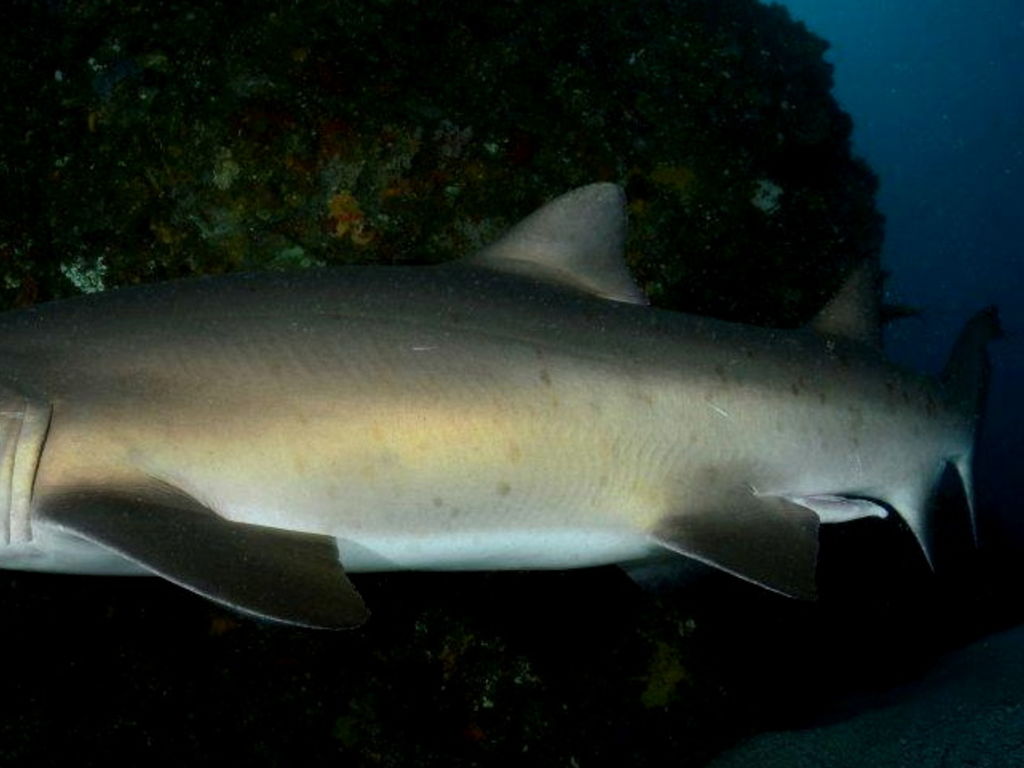 fb72d0c9-f6a6-4b10-b14d-b7af1a7c6655