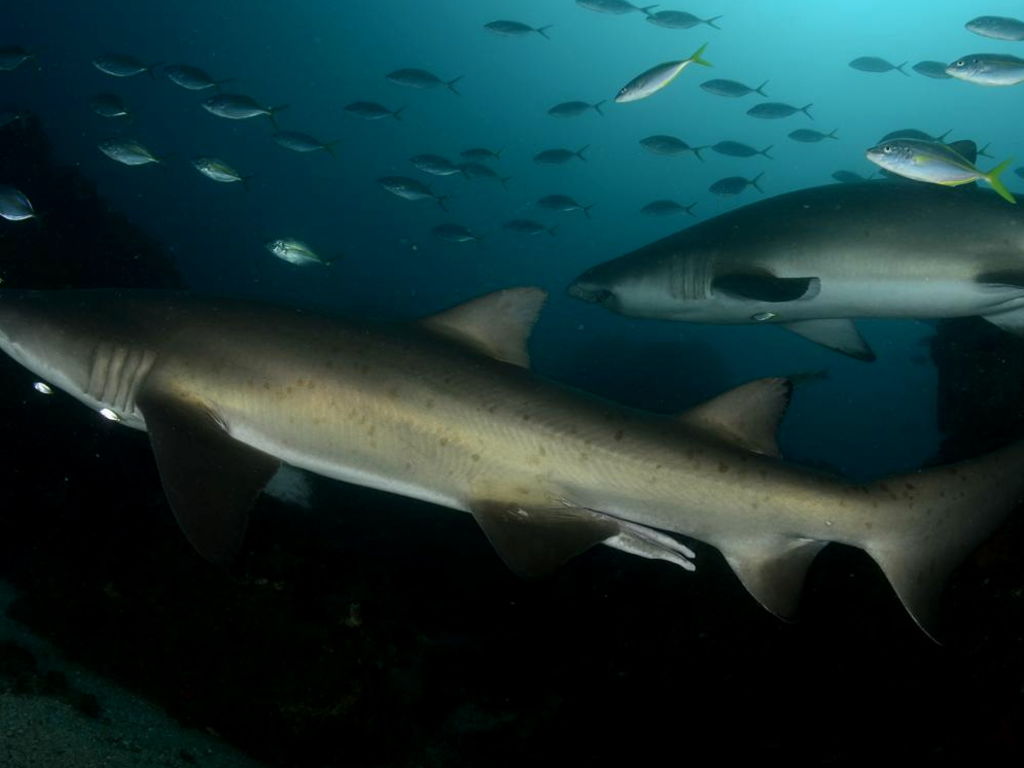 2e1e0d88-a7e6-4f9c-911a-359167d5c6fa