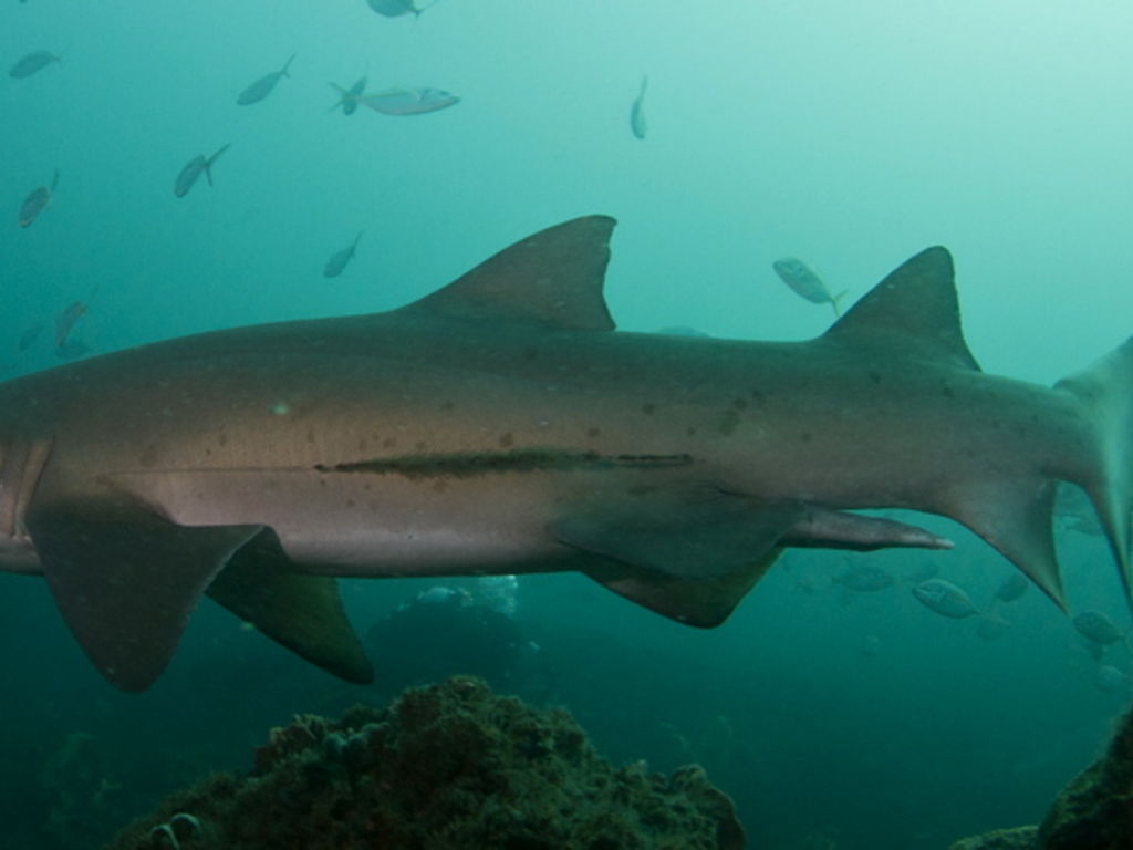 e7256146-df4e-4a82-a243-b971ccf84dab