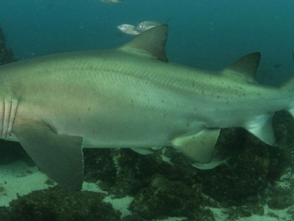 a94747ff-74f7-40c5-99e8-d6e879c4f194