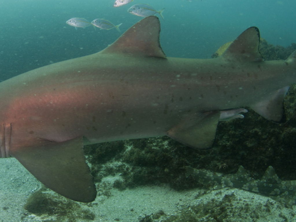 e85f4379-7097-4895-9f73-a08508748c1a