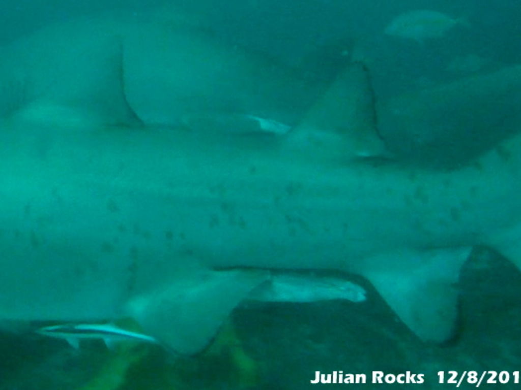 81a6c22a-4765-48f9-b0a1-61609c770a5e