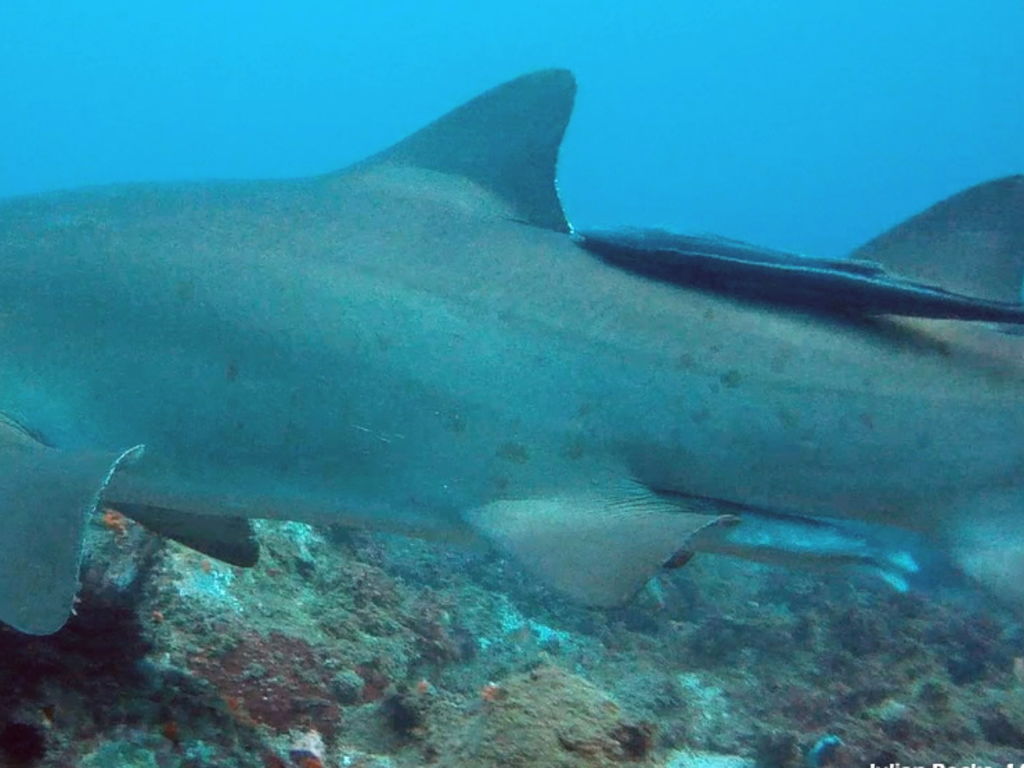 d49260e4-5cc8-46fc-9d83-5b0fb4af5001