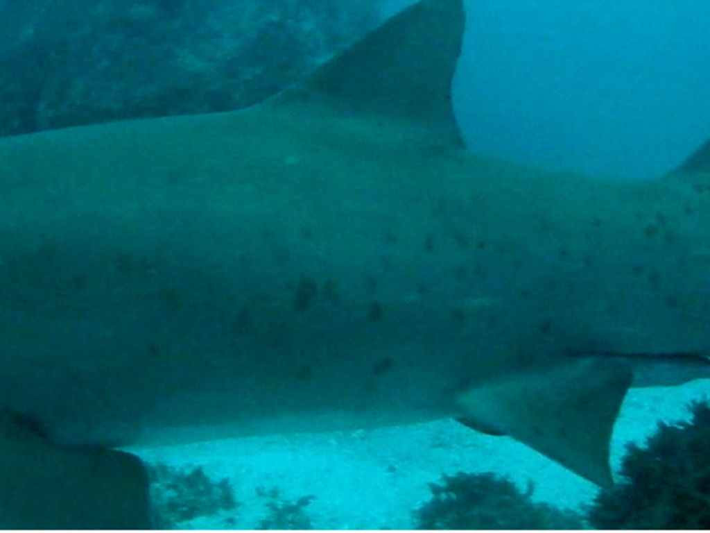 fd292b20-8a80-40cc-8cd0-96dec4fa5e94