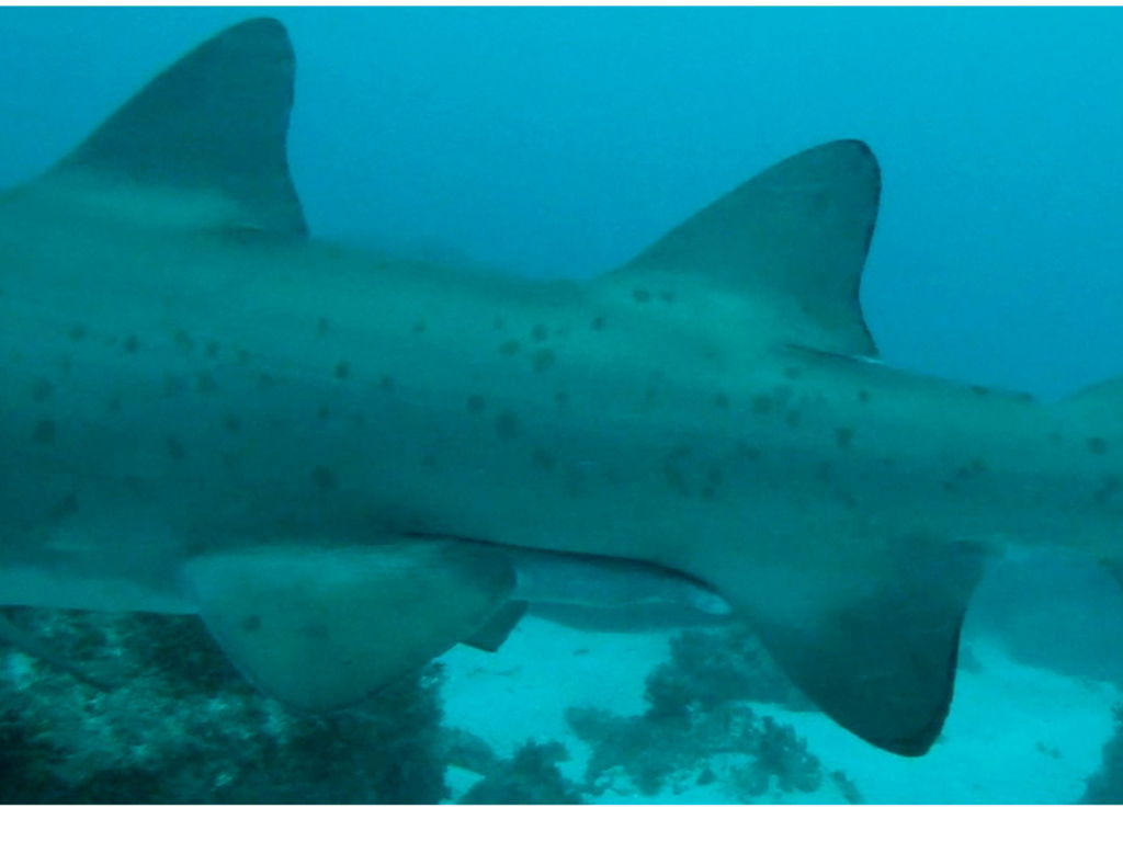 fd292b20-8a80-40cc-8cd0-96dec4fa5e94