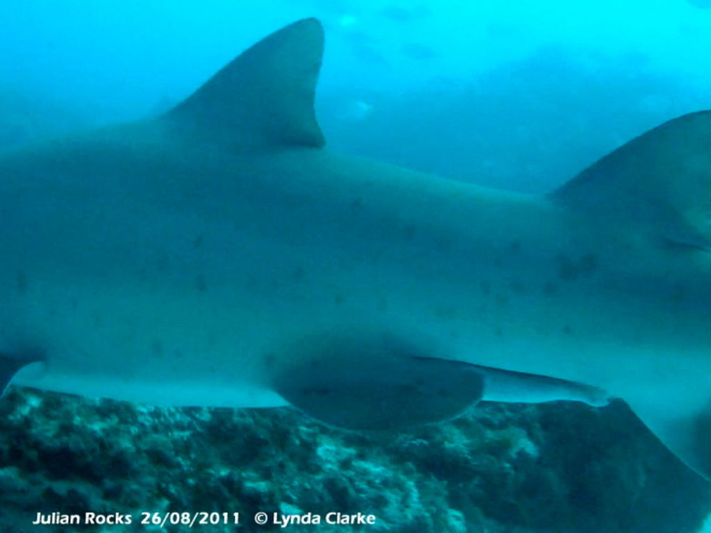 166fe4cf-1be7-48b1-aeb3-ac8b9b0555f2