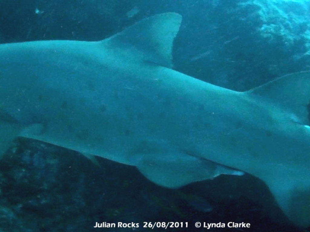 91f86657-bc91-4a25-9e1c-17a46da668ae