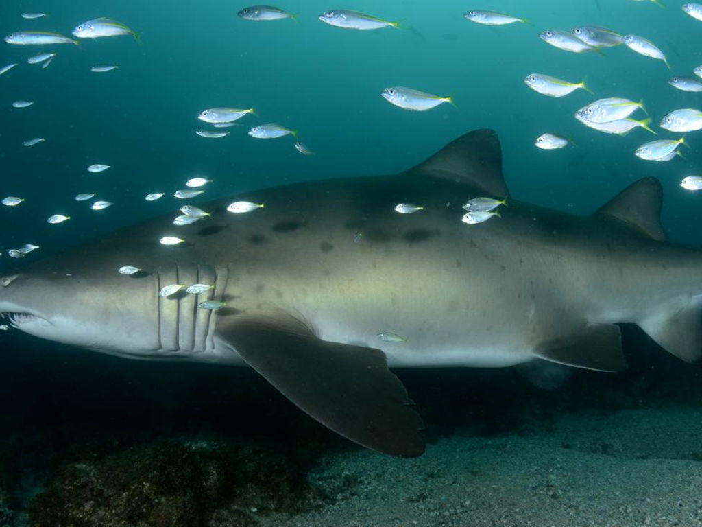 9c0c4f11-5cc0-489b-a230-1bfee5603016