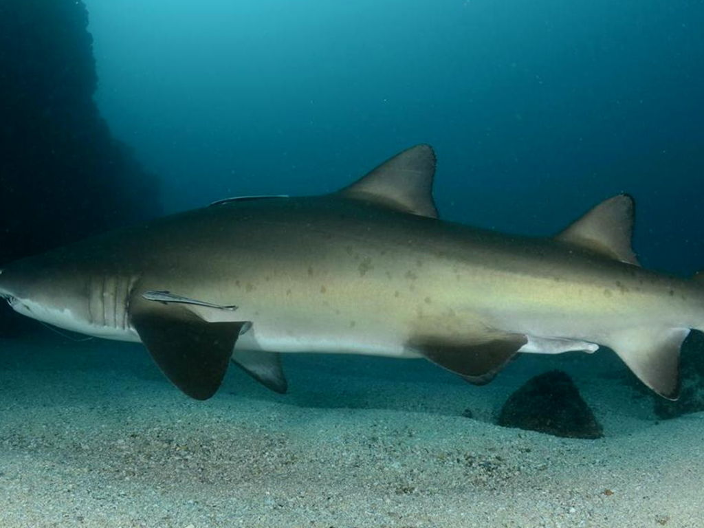 68a19e1b-09f1-4c57-93e3-84b35aeaa3a2