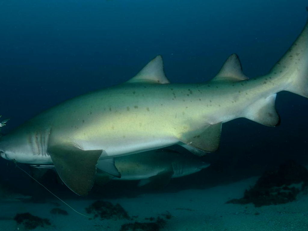 c844a25d-e950-4493-a74d-edb08487d8dc