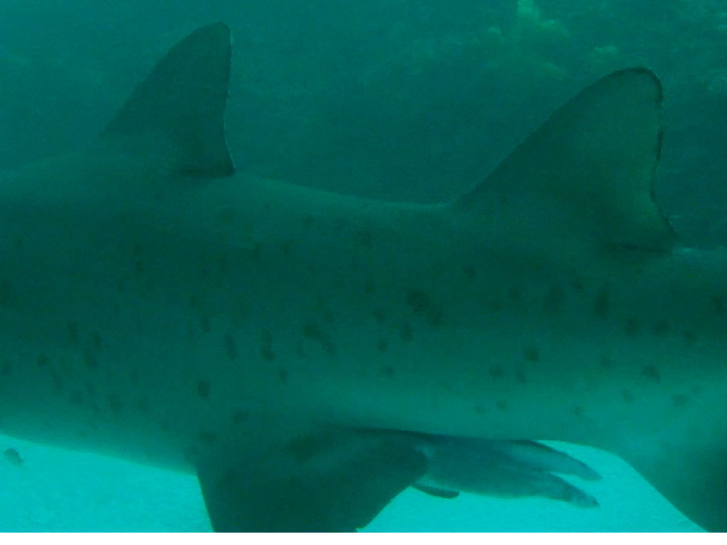 6a280bea-2e0d-4cc3-834b-b6c3befe571b