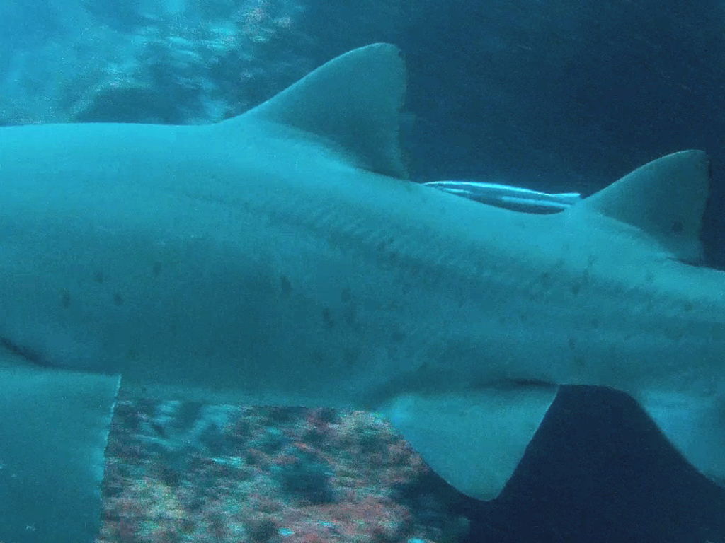 031527a2-559a-4a96-857a-b6bd769e8a25