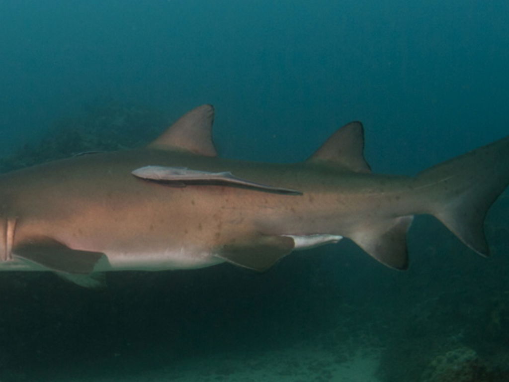 388d3321-4a39-4005-9921-904d49a1262b