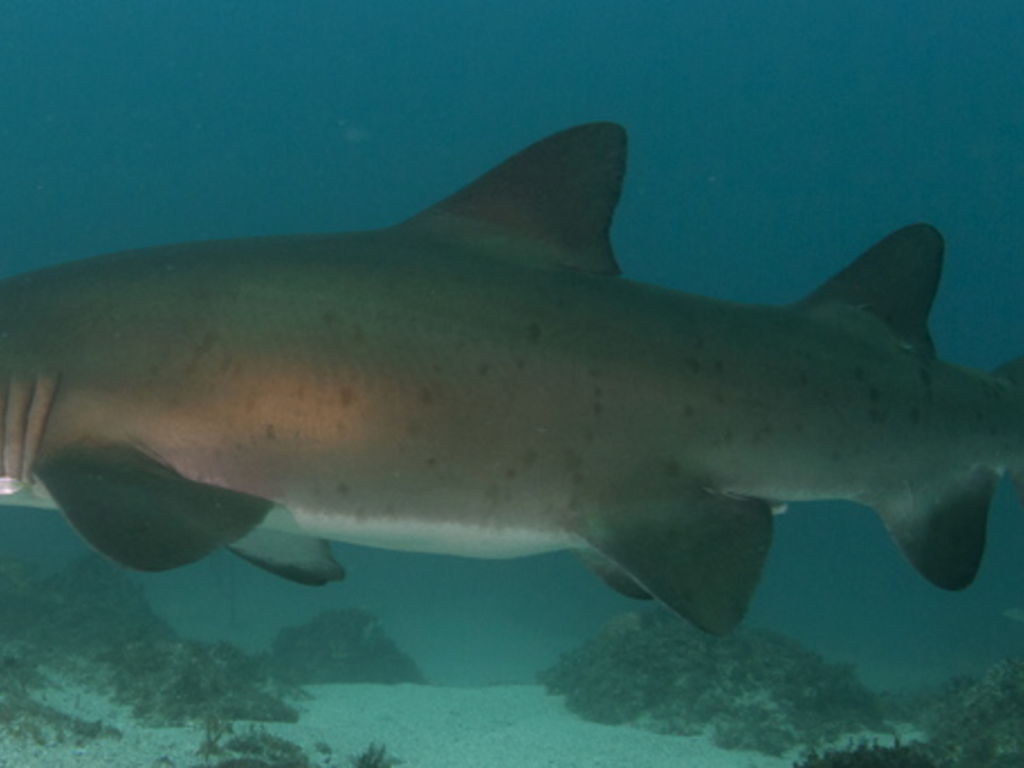 903b68f3-b428-4c0a-8773-0a59df091f61