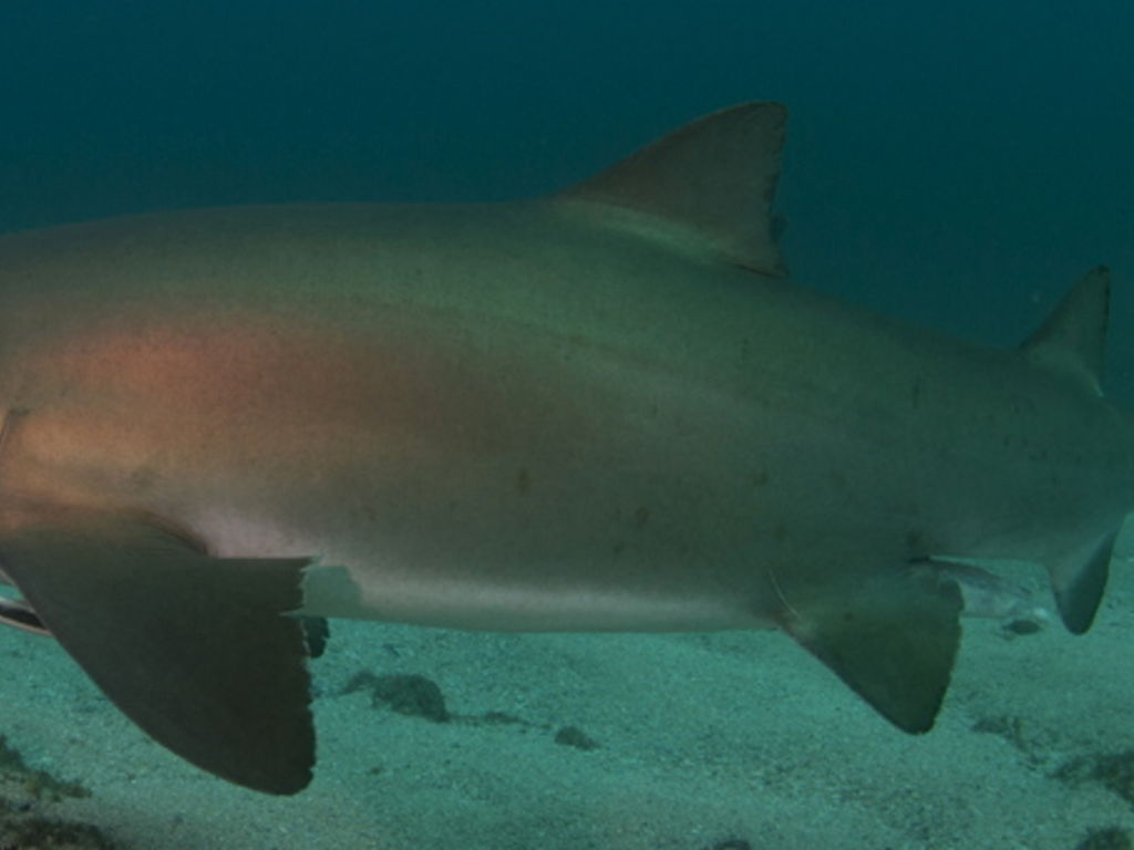 7e5fee7f-cf11-4204-a2fb-a5a09cae69b0