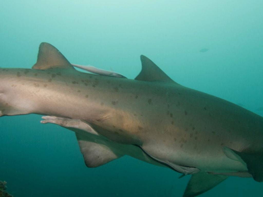 2178233f-54eb-4e5e-864d-99813595ae8a