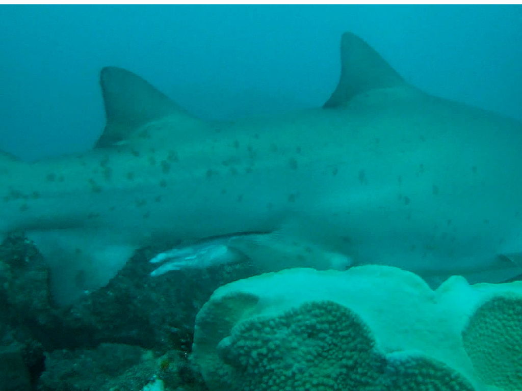 c829357e-d568-4db7-99a0-71f8a75a8b6f