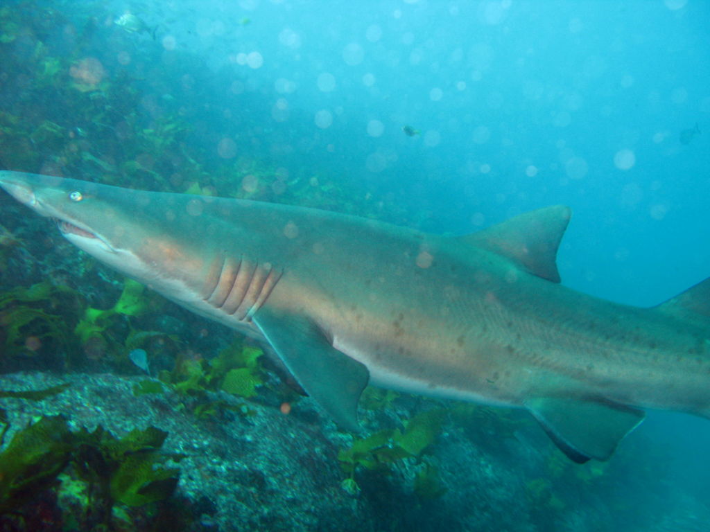 abcd0401-c7d8-4b09-9fc0-f0ec8bea179f