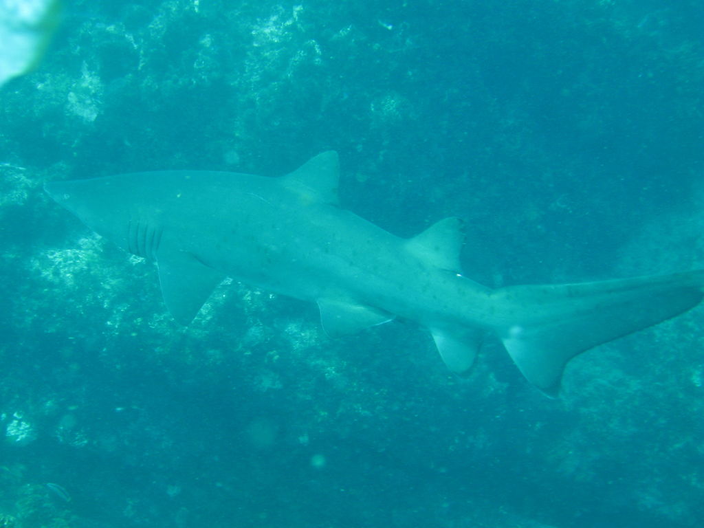 4aee4479-9e82-4495-9a05-b5af4aa01a33