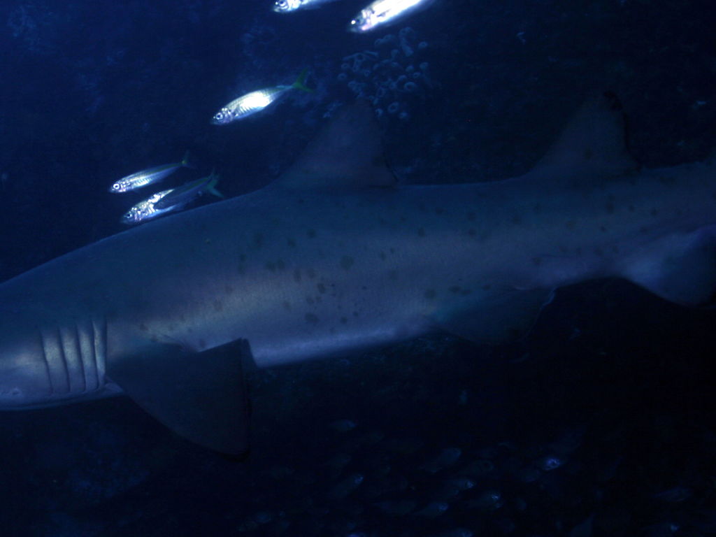 a8dfac98-a0cf-4ca7-9a65-4b5b54fcbccd