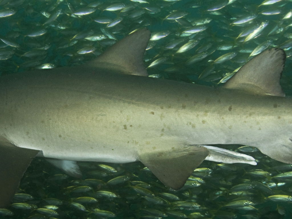 9dc1234c-5f21-47d2-b8ae-34027825c9c3