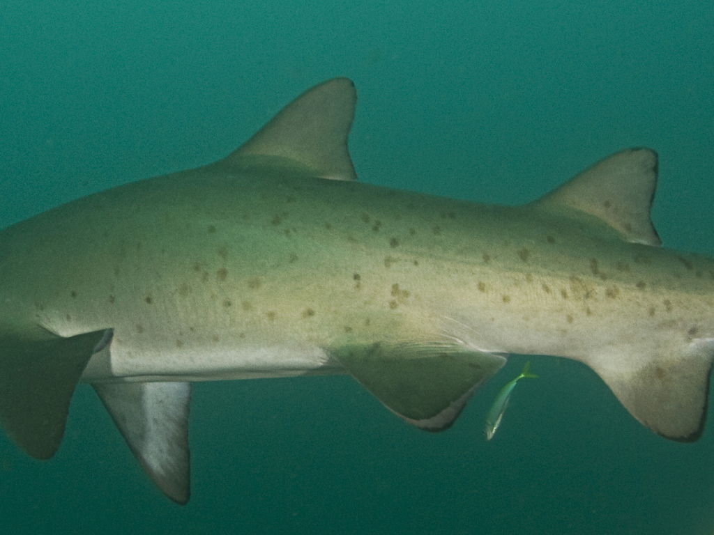 332ef325-4d68-47ca-b351-a61331ce3a61