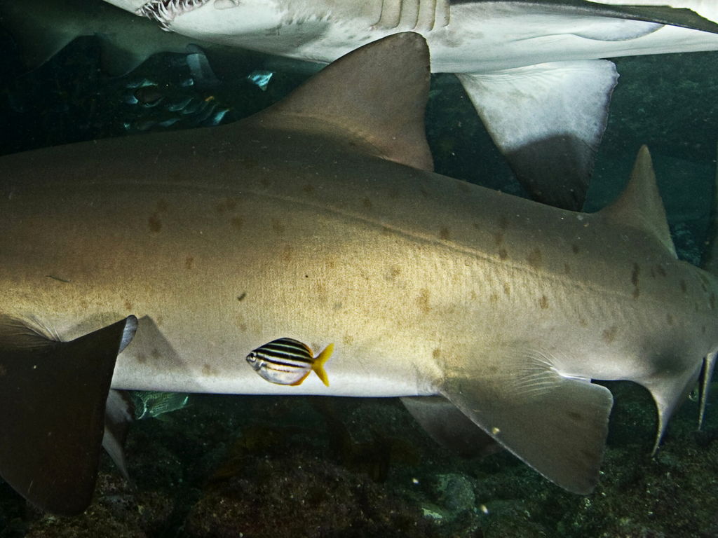 f23d9154-f256-4971-9657-fcfdaff82dbf