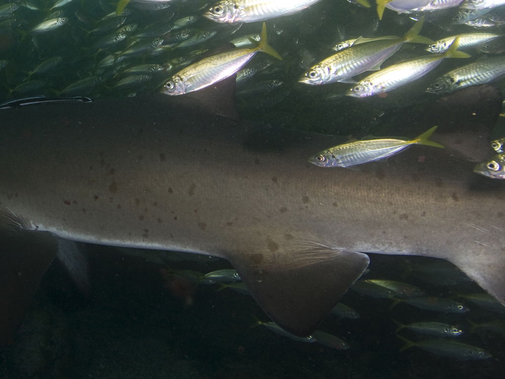 39645188-4806-4fd1-8d1a-0463abd1207a