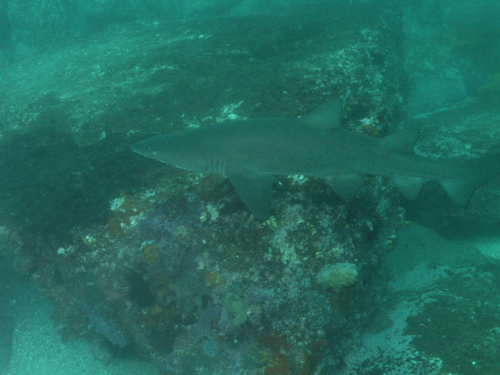 ef11a595-9215-40a2-b936-0c6d98594baf