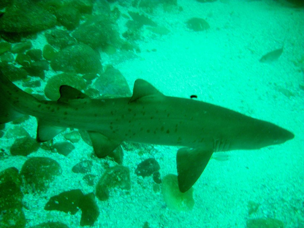 135106ea-0f6e-4006-85be-6235fab165db