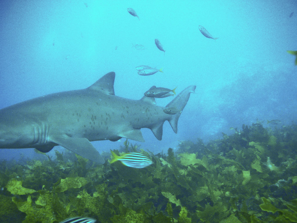 609873b6-e0af-4bed-af3e-6e5d7e47aaf6