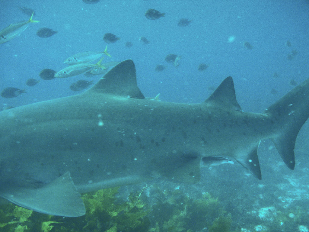 169d3714-d583-4197-9fa9-9178260faac4